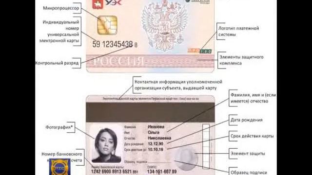 Пользователям универсальной электронной карты подарят устройства для удобного обращения с новинкой смотреть онлайн