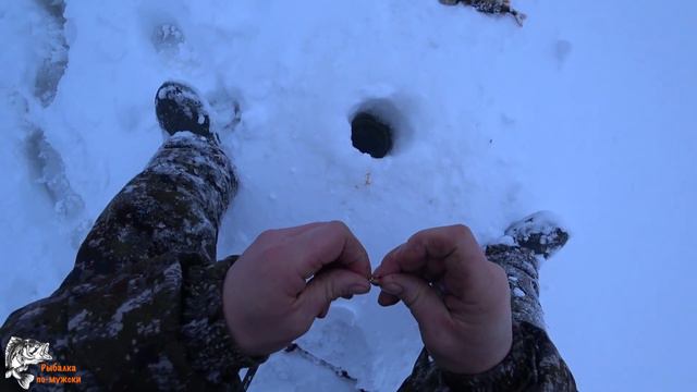 В ТАЙГУ ЗА ОКУНЯМИ. смотреть онлайн