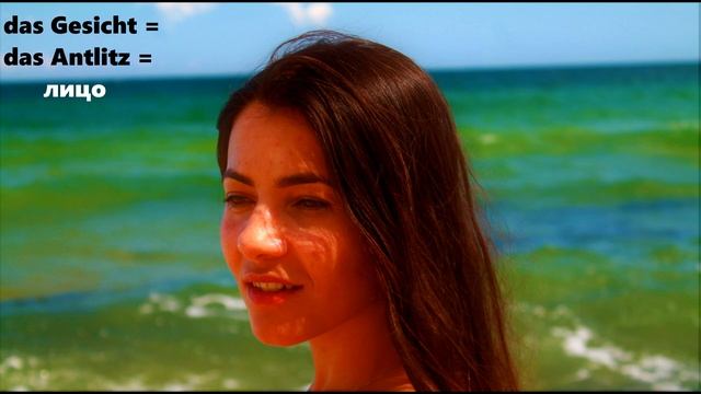 #der #die #das Как запомнить род слов в немецком? Окончание -z #genuslernen #kasus #artikel #fall смотреть онлайн