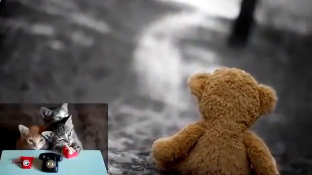 Живые картинки с днем влюбленных смотреть онлайн