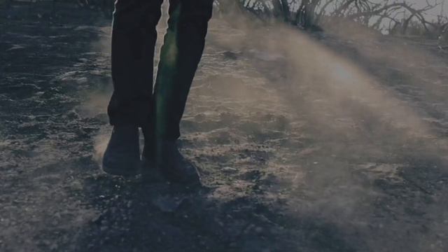 Stive Morgan - Metamorphosis (2015)