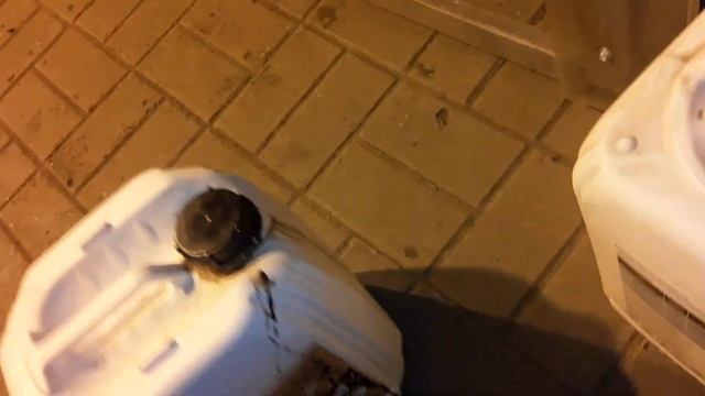 Внесение био препарата под огурец. От корневых гнилей био #огурцывтеплице #subscribe