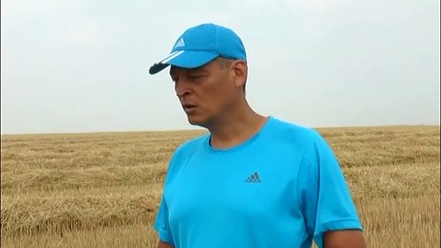 Растёт пшеница-улучшитель смотреть онлайн