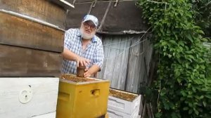 наставники на кочевке говорили - если одеты перчатки при осмотре пчел, то перед тобой не пчеловод