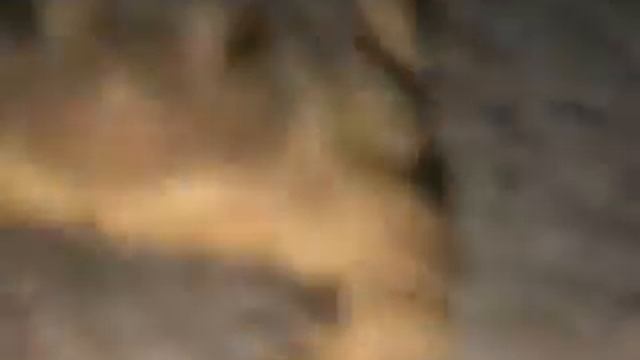 Crazy toad attack. смотреть онлайн