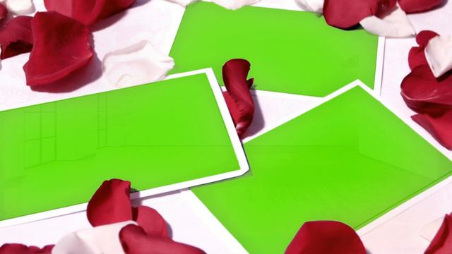 Wedding Slides Green Screen, Template Love Chroma Key Casamento, Valentines, Petals Rose