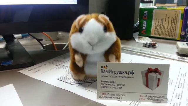 говорящий хомяк видео смотреть онлайн