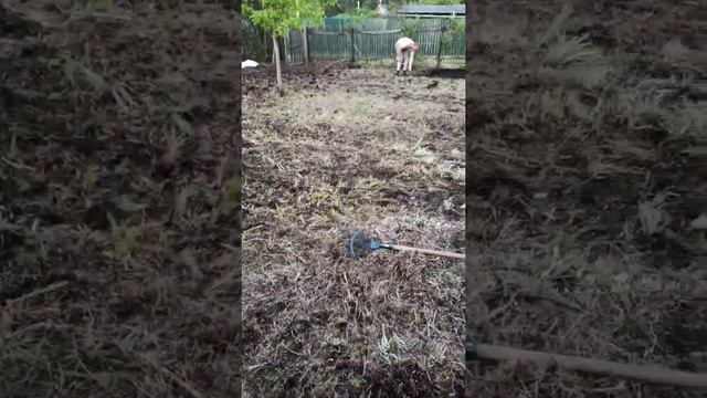 12#Борьщевик#копаем и прогребаем участок# смотреть онлайн