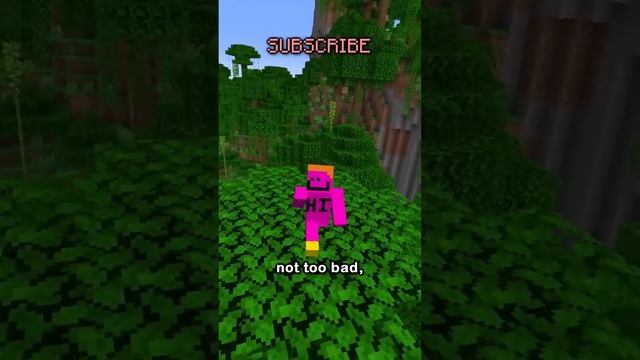 some unethical texture packs смотреть онлайн