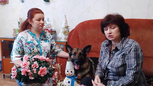 2 истории о том что хочется и чего нельзя пить. смотреть онлайн