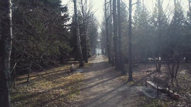 Пение птиц. Владикавказ. Дендрарий. смотреть онлайн