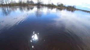 Топ 20 САМЫХ ИЗВЕСТНЫХ ПРЕСНОВОДНЫХ РЫБ (2 ЧАСТЬ)