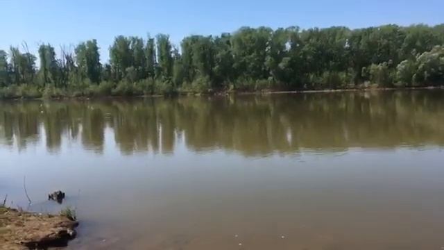 Видео Блог с Андреем Дымовым на тему, отдых с супругой на реке уфимка. смотреть онлайн