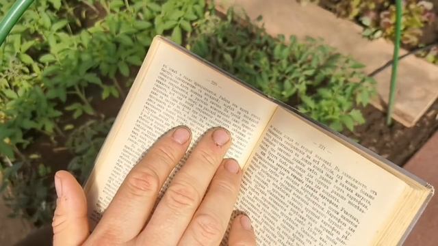 Высадили в ЖАРУ! Рассада ВЯНЕТ! Что ДЕЛАТЬ! Воспользуйтесь этим Дедовским Способом! смотреть онлайн