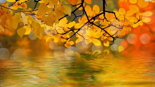 Valzer di pioggia смотреть онлайн