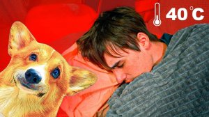 МЛАДШИЙ ЧЕЛОВЕК СИЛЬНО ЗАБОЛЕЛ!! КАК ЕГО ВЫЛЕЧИТЬ?? (Корги Коржик) Говорящая собака