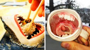 Из этой посуды точно можно есть?