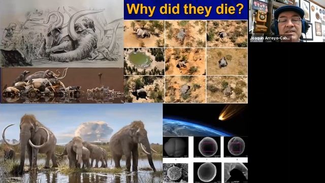 Giants & Airplanes: Mammoths at the Airport [Paleo Talks EP36] смотреть онлайн