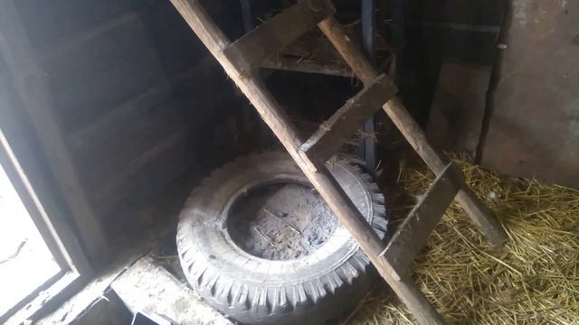 Отвечаю на вопросы по содержанию кур. Часть 1. смотреть онлайн