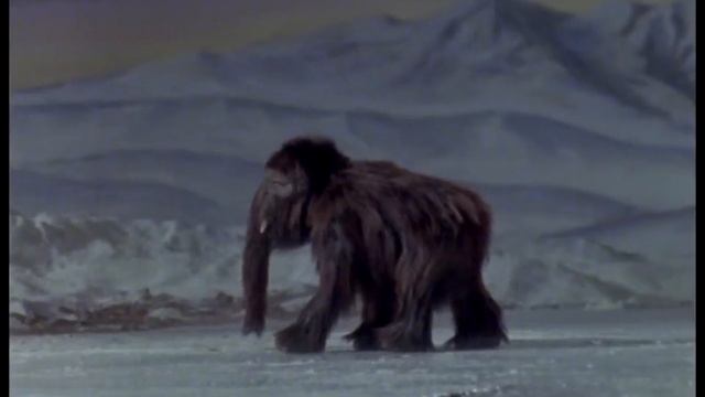 Canada Vignettes: Woolly Mammoth смотреть онлайн