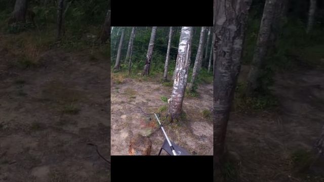 Рыбалка. Клев леща. смотреть онлайн