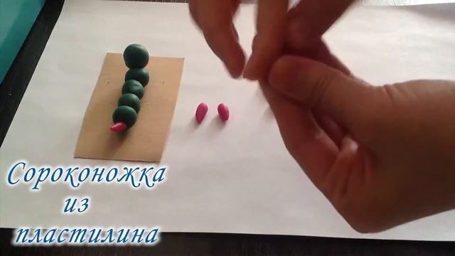 Сороконожка из пластилина. Centipede From Plasticine