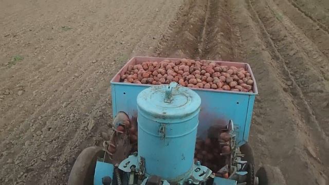 Картофелесажалка СН-2Б. Посадка картофеля трактором с обработкой протравливателем смотреть онлайн