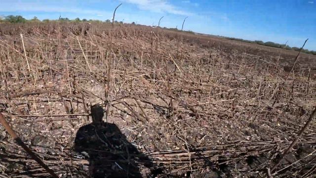 УБОРКА ПОДСОЛНЕЧНИКА 2022 смотреть онлайн