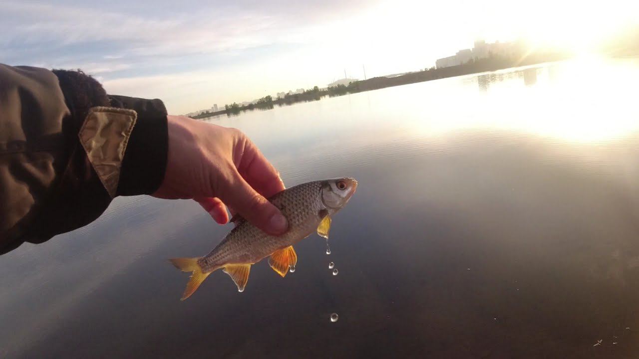 #243 | Мормышинг | Mukai Air Stick AS 1632XUL Zanmu Crank |