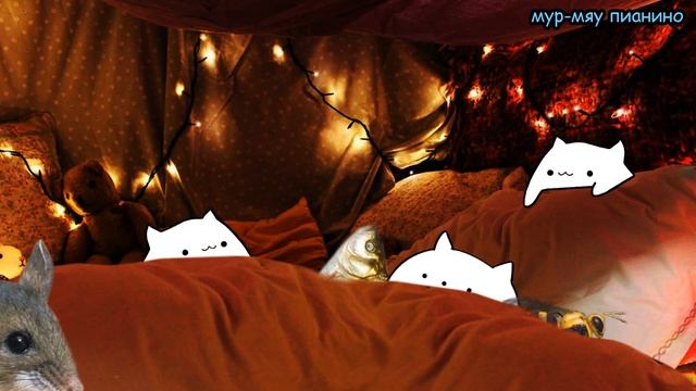 Бонго Котики с друзьями пели "Спи, моя радость, усни", а потом... смотреть онлайн