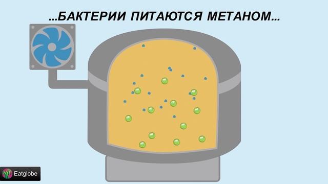 Рыбная мука от бактерий смотреть онлайн