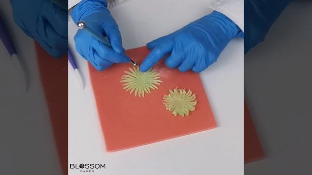 Зелёная сахарная хризантема. смотреть онлайн