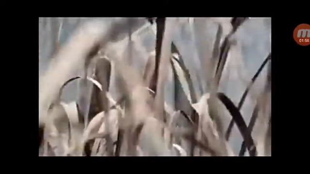 Время и стекло- Так выпала карта смотреть онлайн