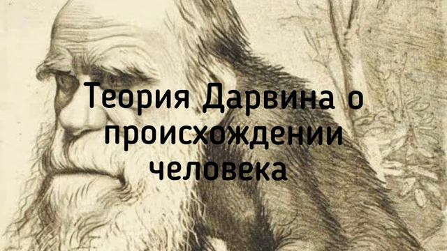 Теория Дарвина о происхождении человека смотреть онлайн