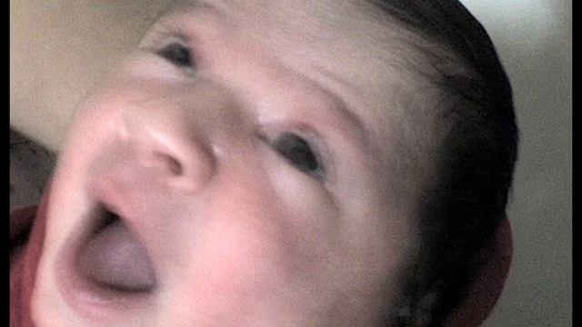 Agatha Fernandes Magalhães 2 смотреть онлайн