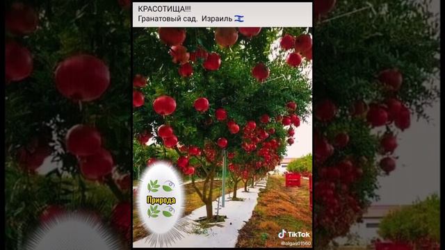 Красота природы. 🥰 смотреть онлайн