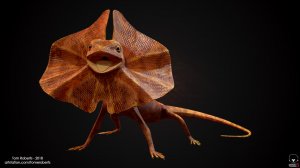 Плащеносная ящерица — устрашающее существо!