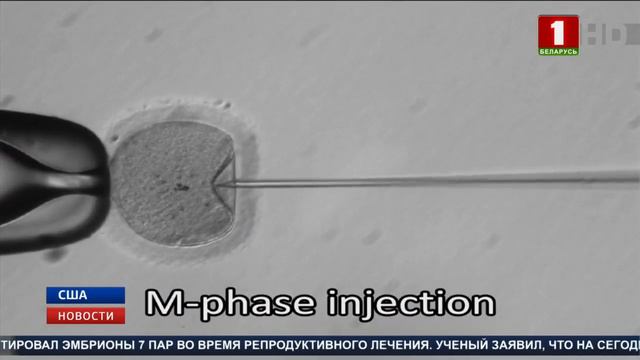 В Китае начали расследование после сообщений о рождении в стране младенцев с изменёнными генами смотреть онлайн