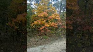 Бог очень долго и тщательно работал над созданием женщины...