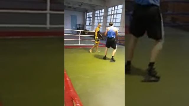 бокс лапы смотреть онлайн