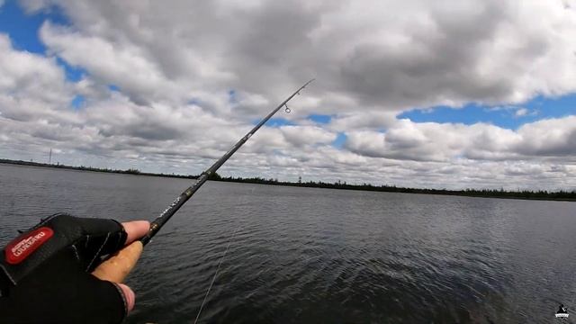 Рыбалка на болотном озере I Crazy Fish Arion 3-12гр 229см смотреть онлайн