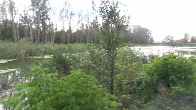 Подари планете жизнь смотреть онлайн