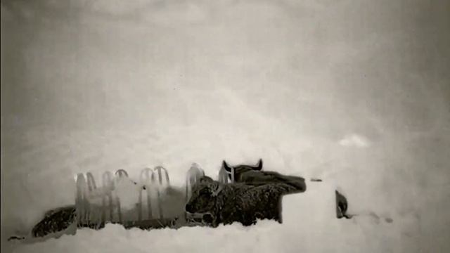 Videó 13. Infiray Rico Rh50, 1st test in heavy fog. смотреть онлайн