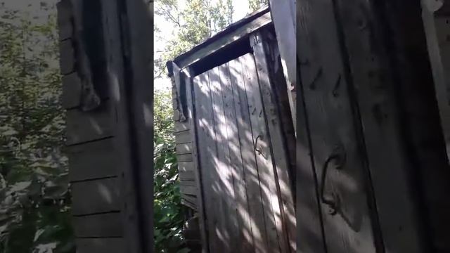 Показы улицу дачи смотреть онлайн