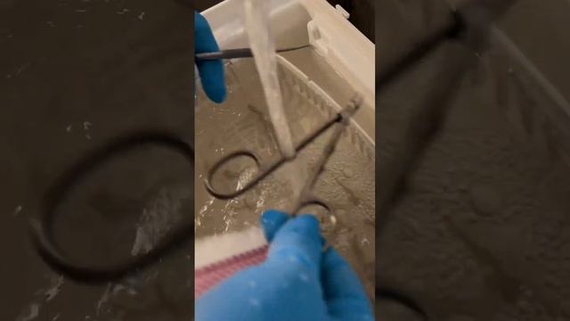 Подолог Москва СВАО #shots Съемки видео контента для бьюти сферы смотреть онлайн