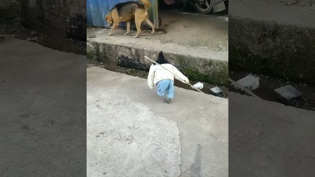 Командир смотреть онлайн