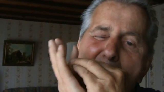 Harmonica PICCOLO Paloma смотреть онлайн