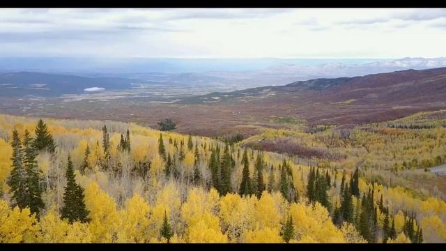 расслабляющая музыка для медитации, снятия стресса, релаксации и сна смотреть онлайн