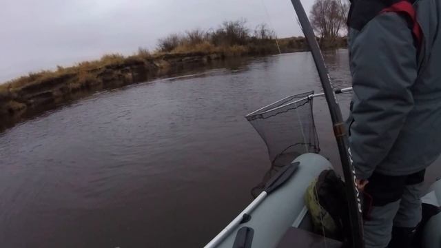 Рыбалка на Припяти 25.11.2017 Мозырь. Реванш