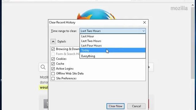 Firefox View and Delete History смотреть онлайн